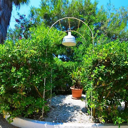 Susy Porto Cesareo